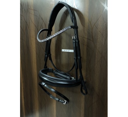 Leather Bridle 